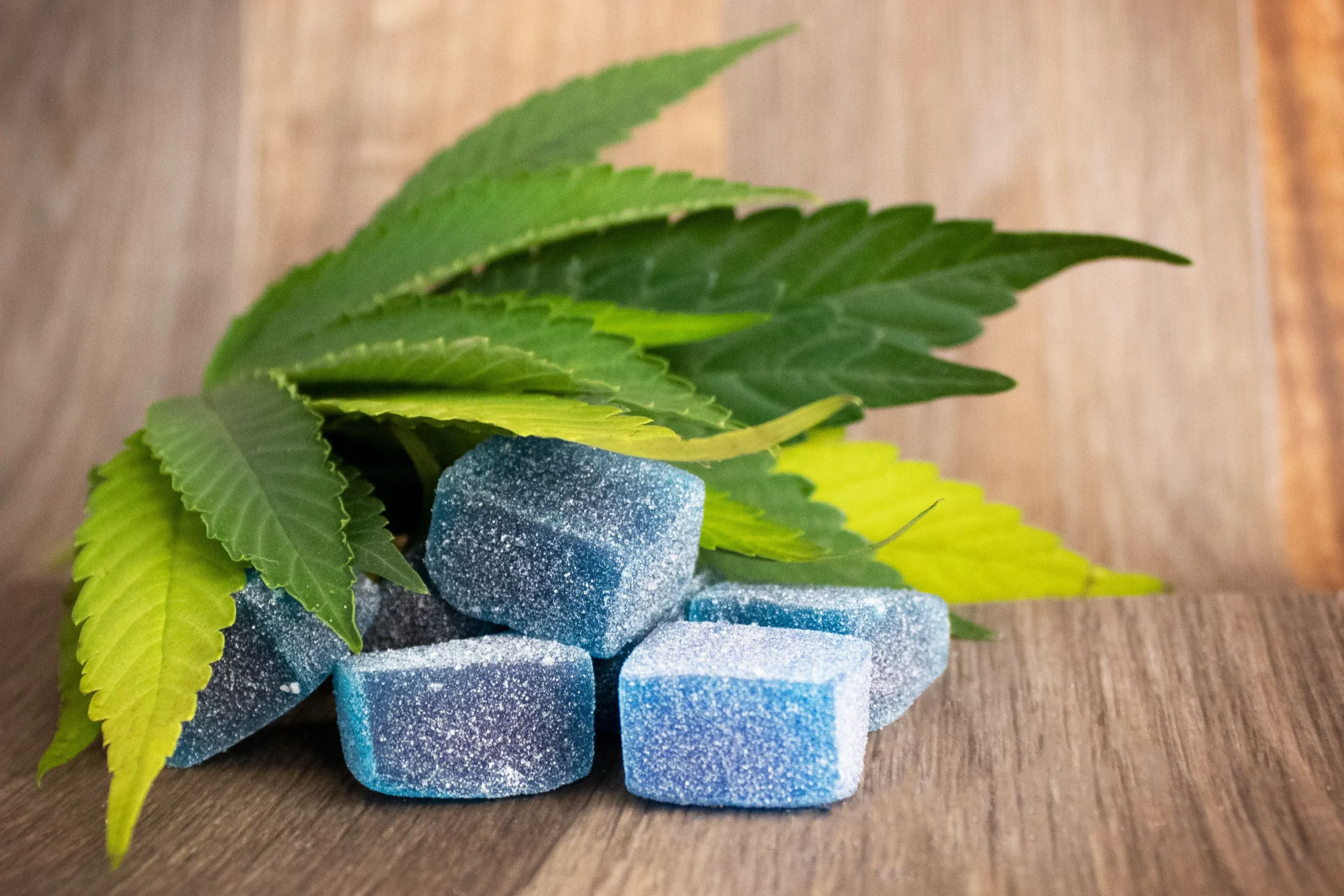 legal thc cbd gummies