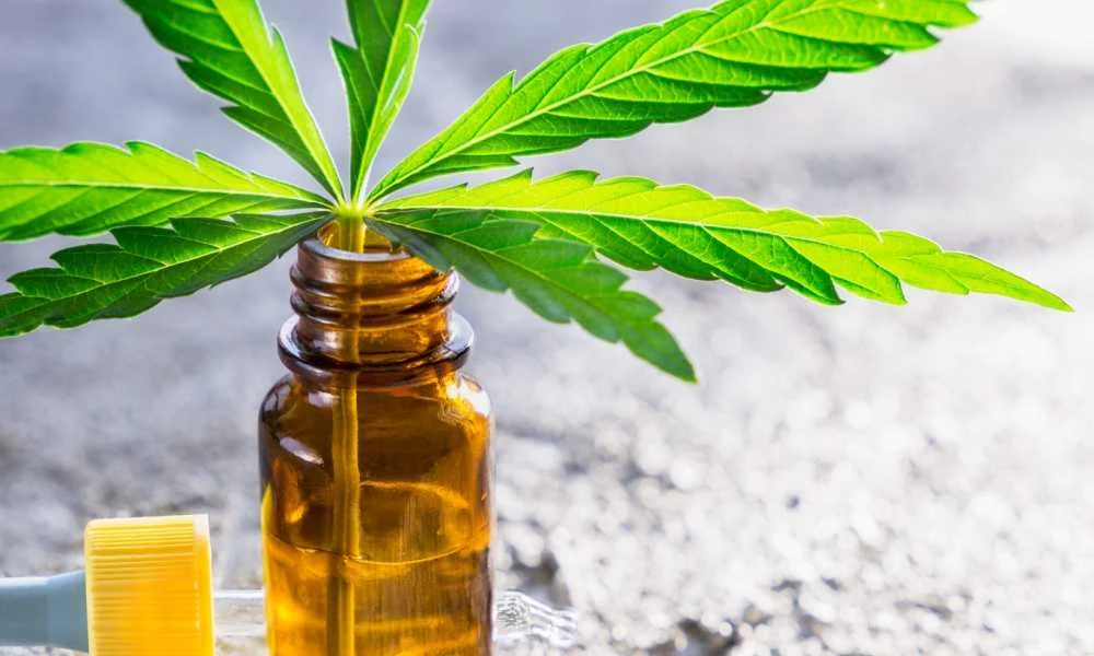 mood thc products