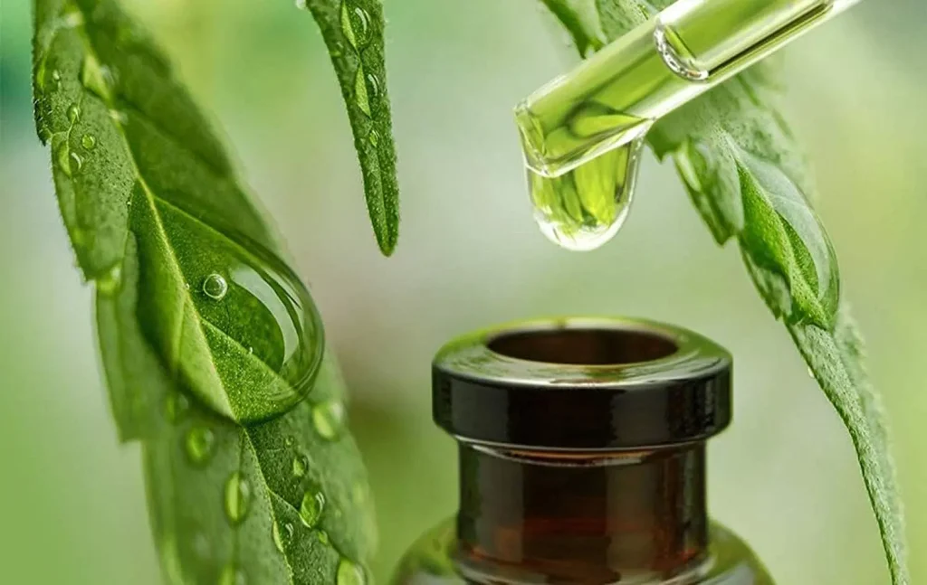 thc in cbd oil