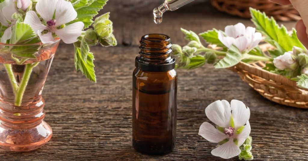 Tincture Shelf Life