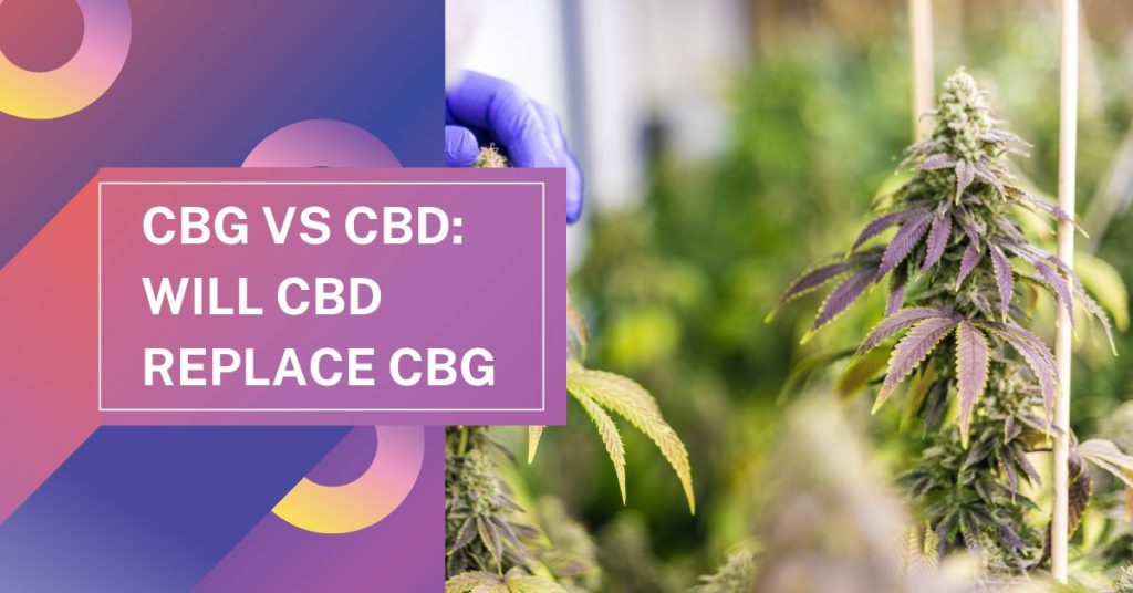 CBG vs CBD